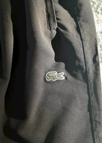 Erkek Lacoste Eşofman Altı - Görsel 3