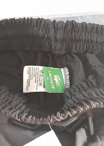 Erkek Lacoste Eşofman Altı - Görsel 7