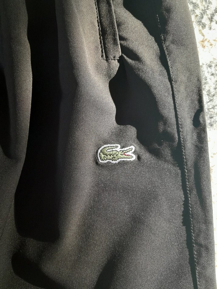 Erkek Lacoste Eşofman Altı - Görsel 3