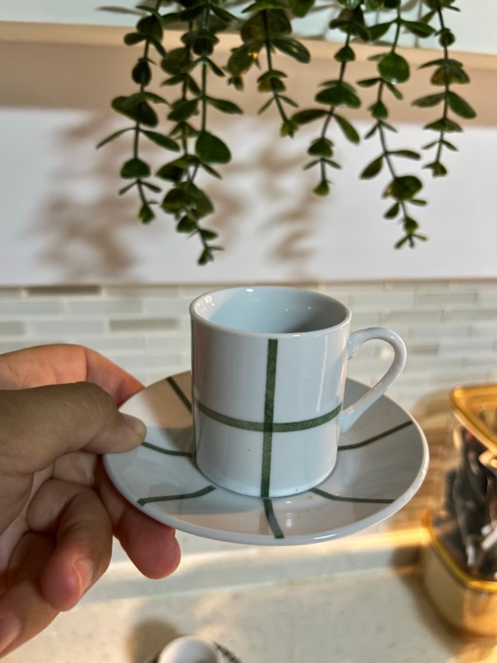 Yeşil Desenli Kahve Fincanı ve Tabağı - Görsel 2