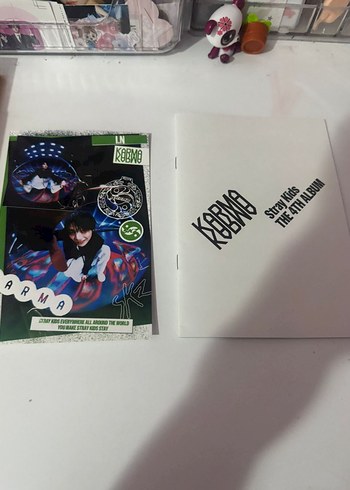 karma felix Accordion albüm - Görsel 11