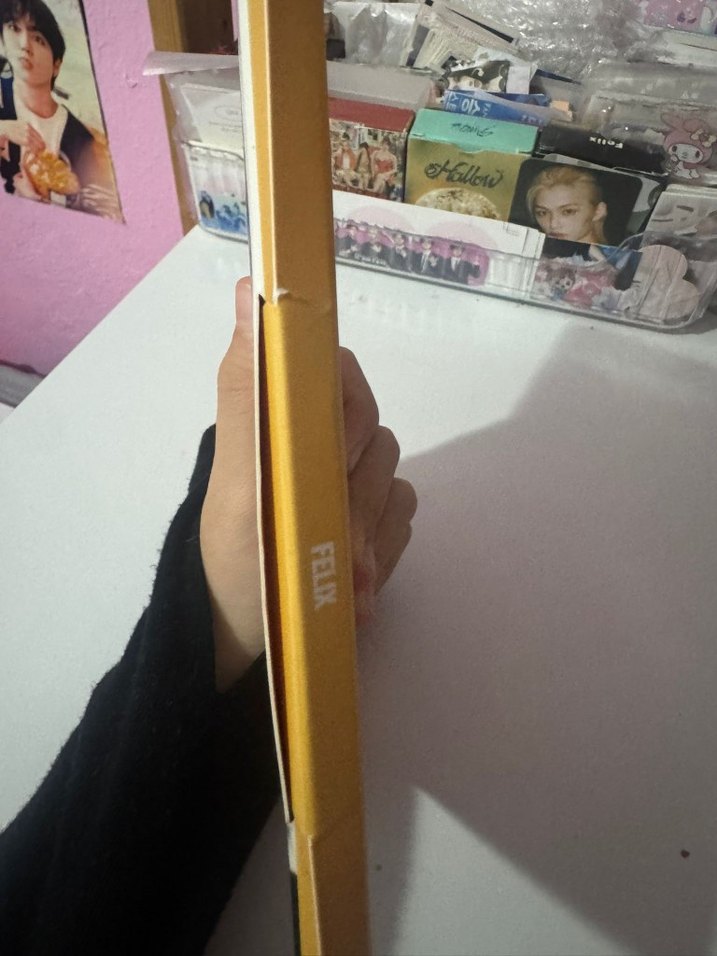 karma felix Accordion albüm - Görsel 2