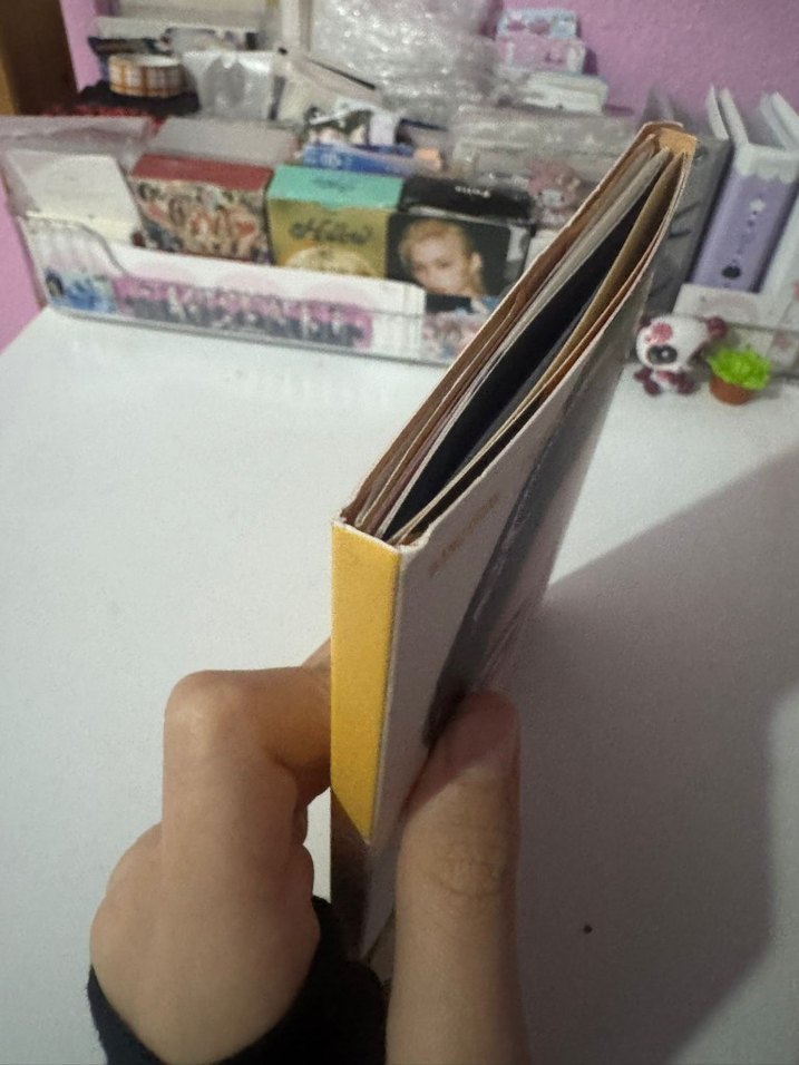 karma felix Accordion albüm - Görsel 3