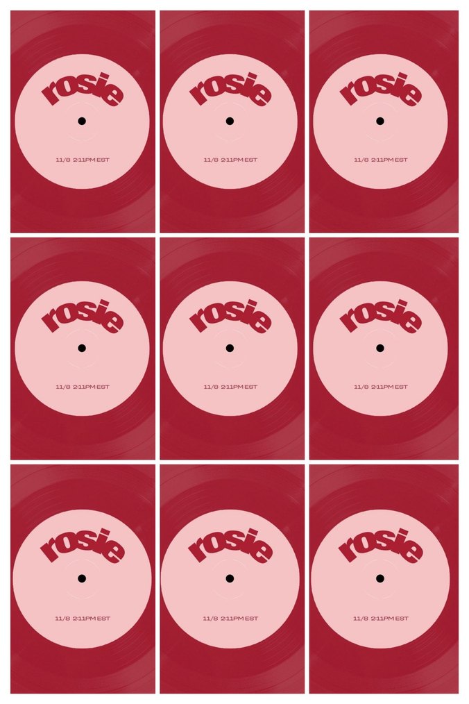 arkalı önlü rose photocard seti - Görsel 2