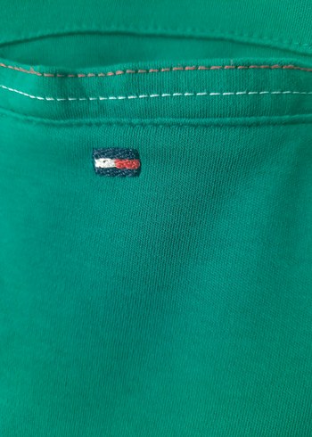 USPA Yeşil Erkek Polo Tişört - Görsel 3