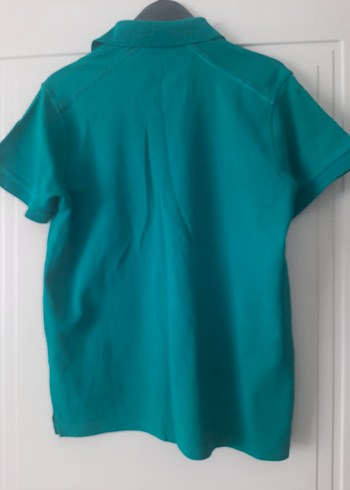 USPA Yeşil Erkek Polo Tişört - Görsel 4