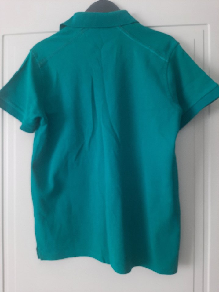 USPA Yeşil Erkek Polo Tişört - Görsel 4