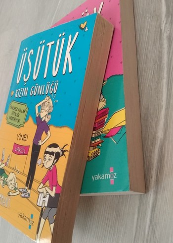 Üsütük Kızın Günlüğü 2'li Kitap Seti - Görsel 3