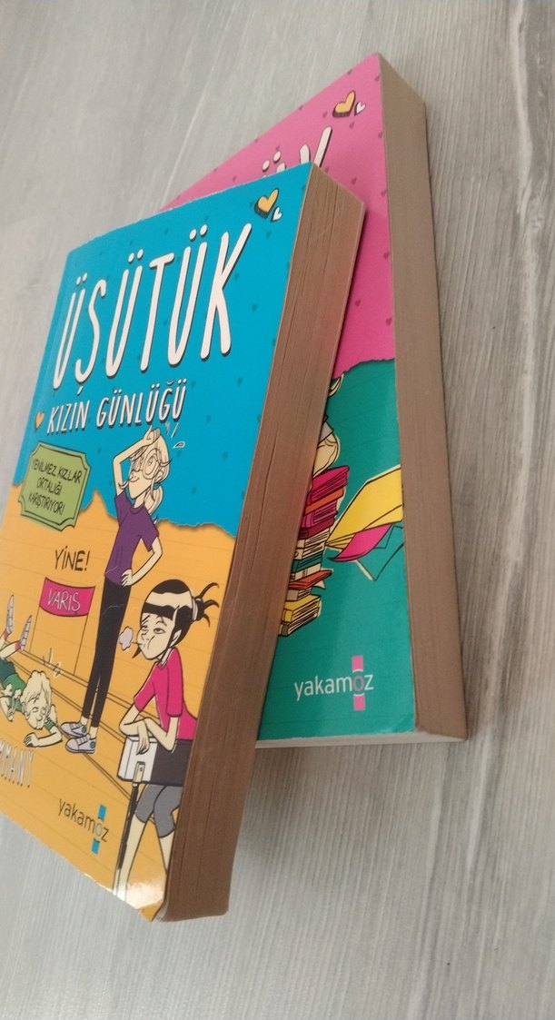 Üsütük Kızın Günlüğü 2'li Kitap Seti - Görsel 3