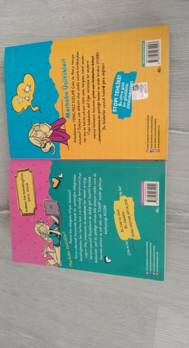 Üsütük Kızın Günlüğü 2'li Kitap Seti - Görsel 2