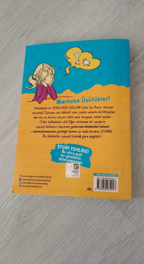 Üsütük Kızın Günlüğü - Anna Cammany - Görsel 2