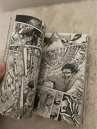  Attack on titan 29.