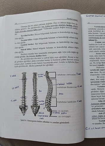 Anotomi kitabı
