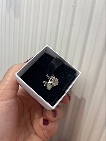 Pandora Pandora charm