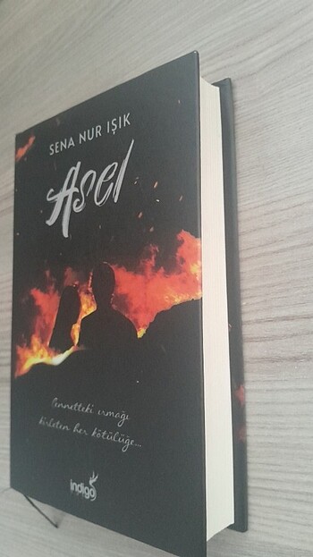 Beden Asel Sena Nur Işık (CİLTLİ)