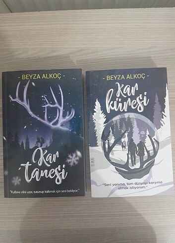 Kar küresi Kar tanesi Beyza Alkoç 