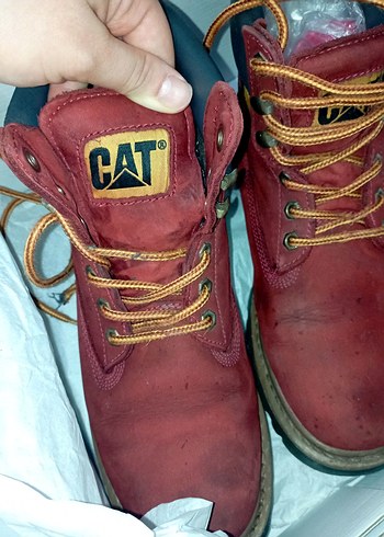 CAT Erkek Bot - Görsel 3