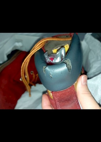 CAT Erkek Bot - Görsel 4