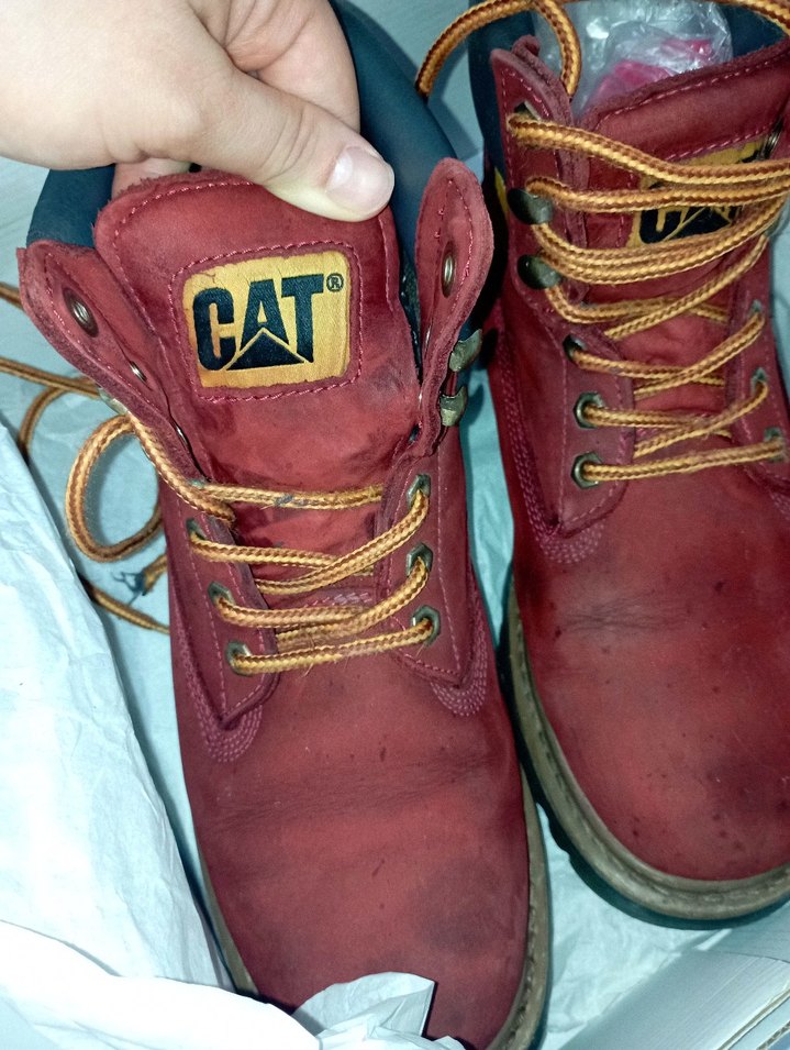 CAT Erkek Bot - Görsel 3