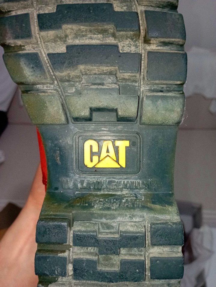 CAT Erkek Bot - Görsel 5