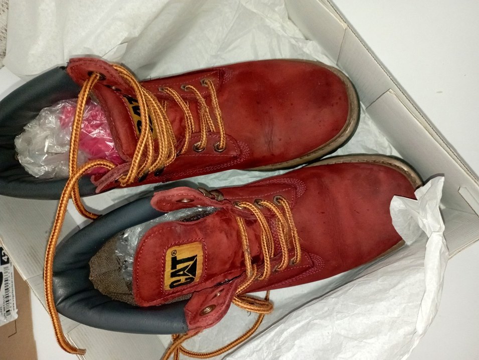 CAT Erkek Bot - Görsel 2