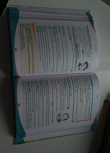 Edebiyat notları