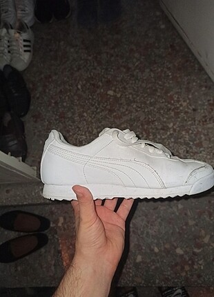 38 Beden Puma roma