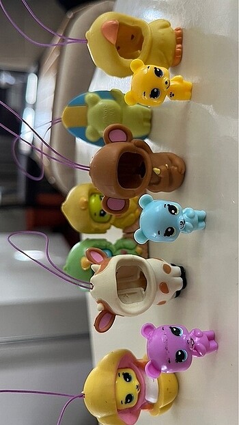 Beden Party Animals