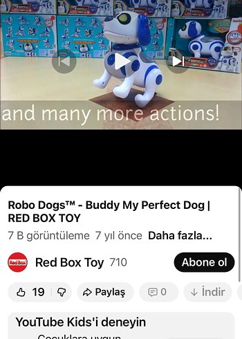 Red Box Robo Dog dokumatik Sensörlü hareket eden köpek - Görsel 7