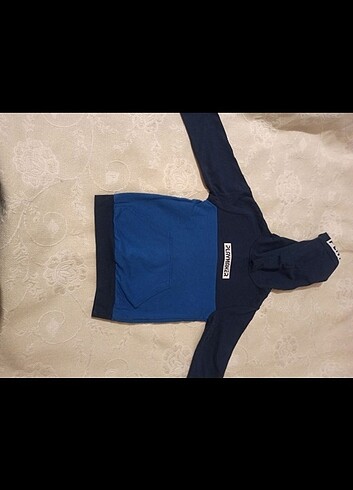 LCW erkek çocuk sweatshirt