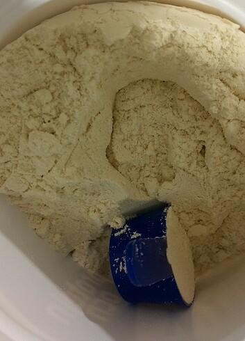  Beden beyaz Renk protein tozu protein ocean
