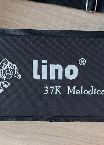 Lino 37K Melodica