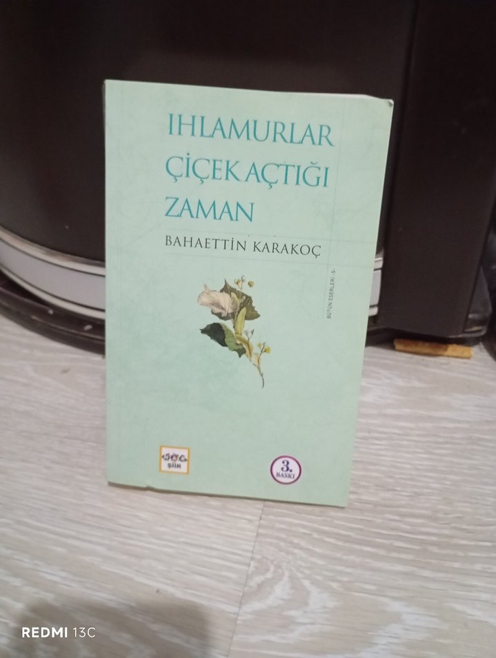 Ihlamurlar Çiçek Açtığı Zaman - Bahaettin Karakoç - Görsel 3