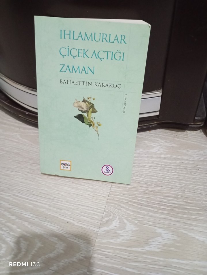 Ihlamurlar Çiçek Açtığı Zaman - Bahaettin Karakoç - Görsel 2