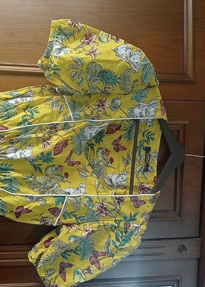 Desenli elbise - Görsel 2