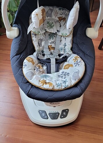 Graco Sallanan Ana Kucağı