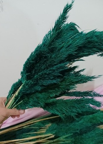 Koyu Yeşil boyalı pampas otu - Görsel 4