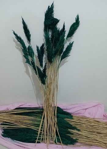 Koyu Yeşil boyalı pampas otu - Görsel 6