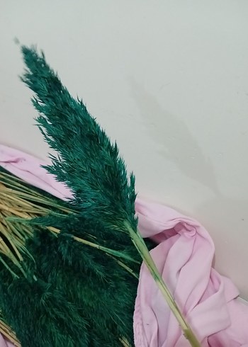 Koyu Yeşil boyalı pampas otu - Görsel 3