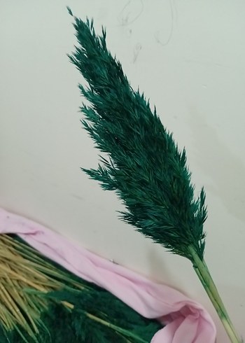 Koyu Yeşil boyalı pampas otu - Görsel 2