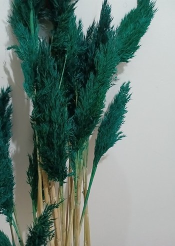 Koyu Yeşil boyalı pampas otu - Görsel 7