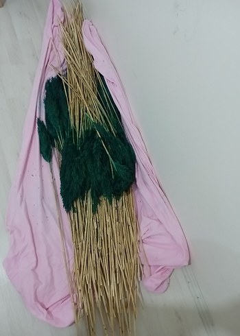 Koyu Yeşil boyalı pampas otu - Görsel 5