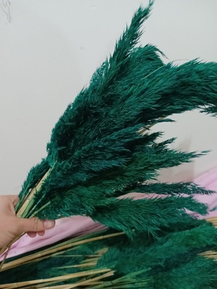 Koyu Yeşil boyalı pampas otu - Görsel 4