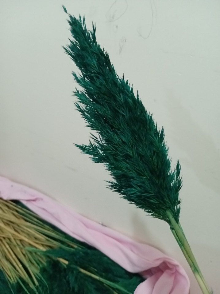 Koyu Yeşil boyalı pampas otu - Görsel 2