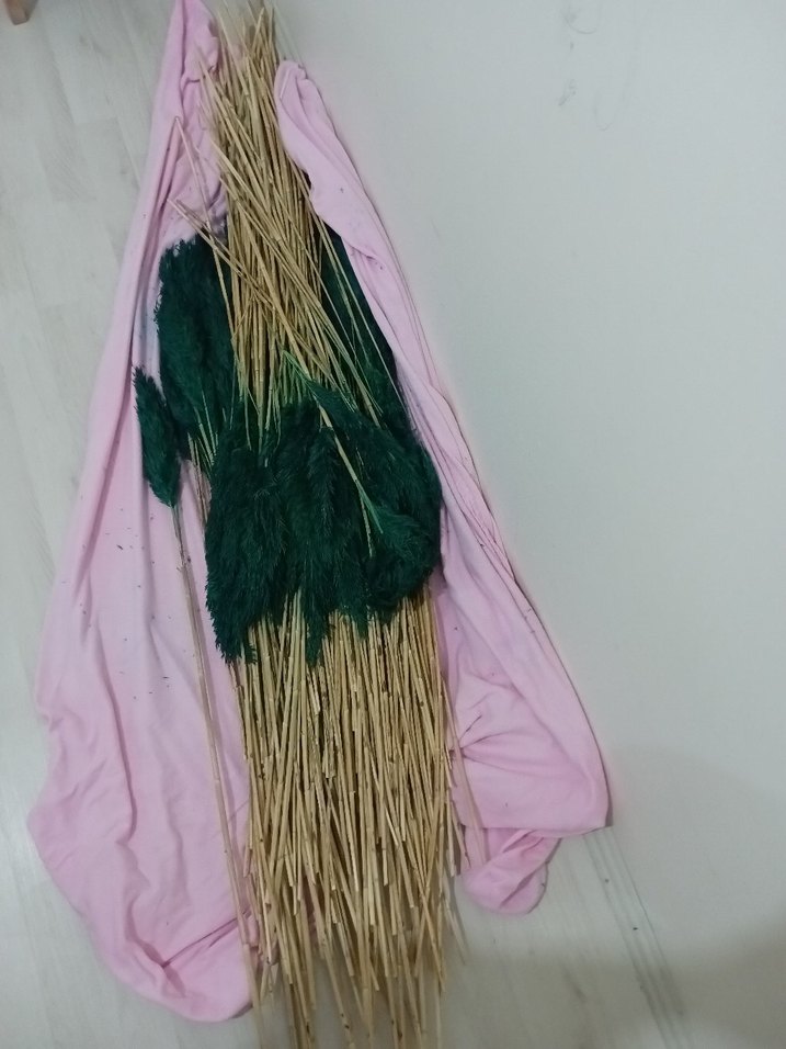 Koyu Yeşil boyalı pampas otu - Görsel 5