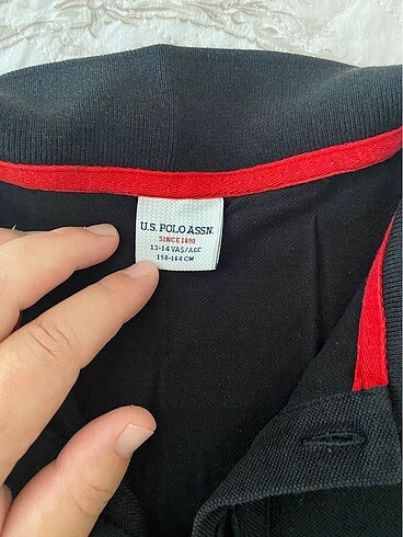 U.S Polo Assn. Uspa erkek tişört