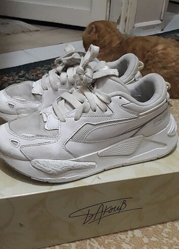 Orjinal puma