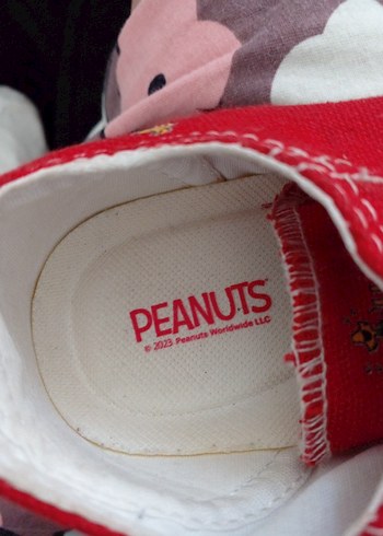 cocuk ayakkabisi y

cok temiz


f - Görsel 3