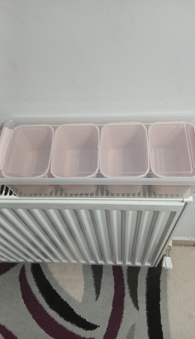 Dört Bölmeli Hafif Renkli saklama kabı - Görsel 2