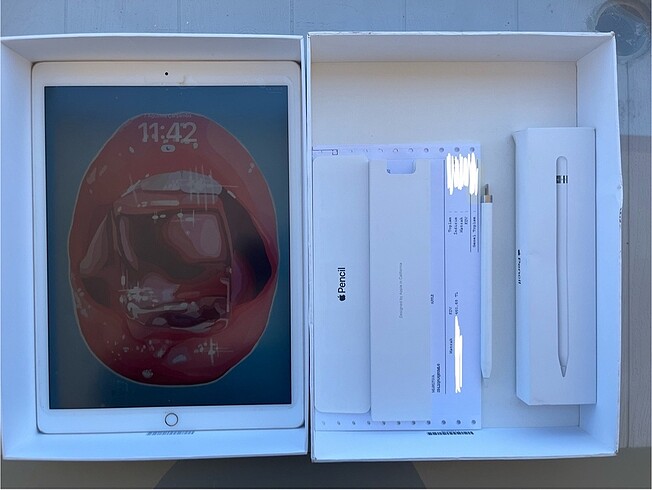 Ipad Pro 12.9 inc